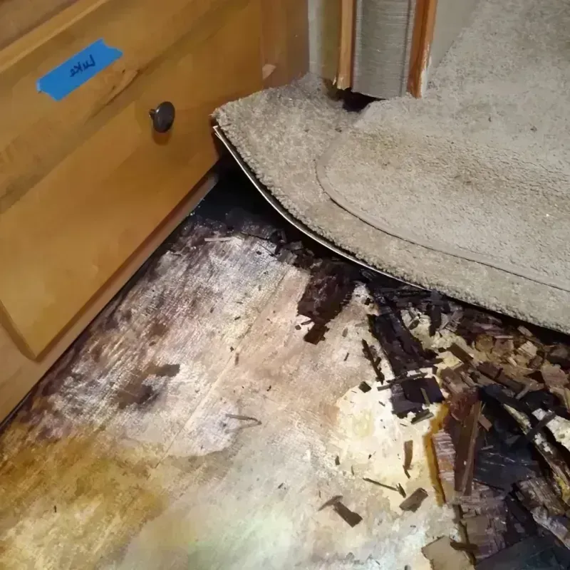 Wood Floor Water Damage in Alabaster, AL